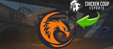 Dust 2 透露，前 Chicken Coop 名册成员计划回归并组建一支名为 Phoenix 的新队伍，此举再次引发争议。